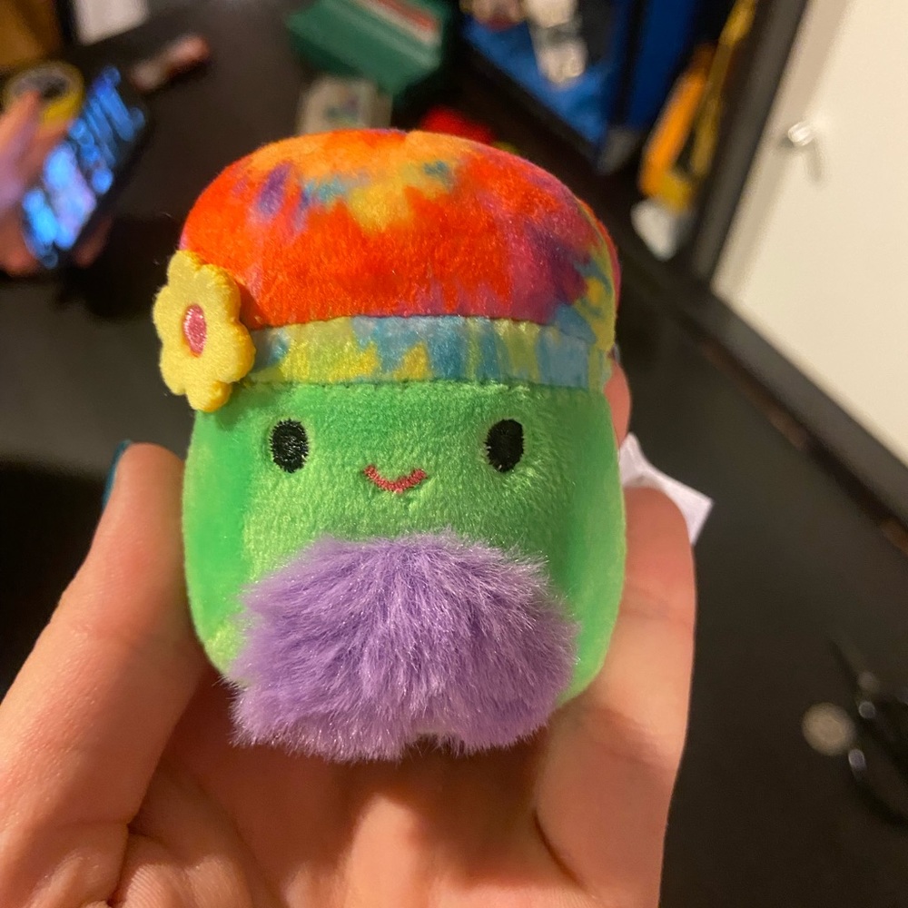 Squishmallow mushy😍❤️